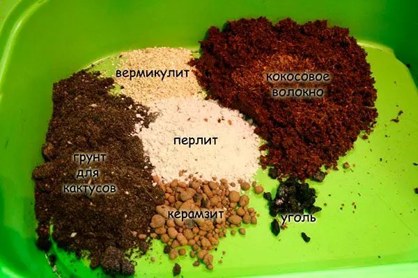 Подготовка нового субстрата и ёмкости1