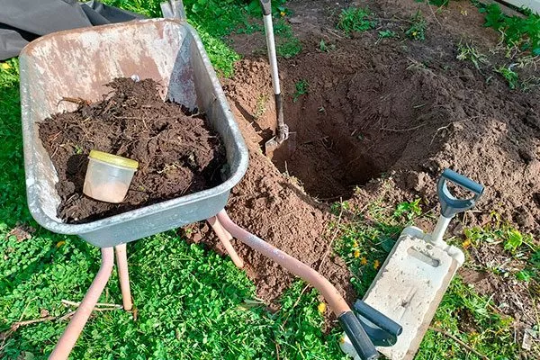 Подготовка посадочной ямы органическое садоводство17