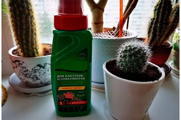 Подкормки Копьяпоа19