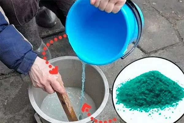 Правила приготовления рабочего раствора обработка яблонь19