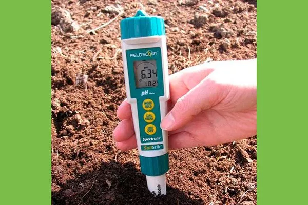 Применение специального прибора 1 почва для земляники24