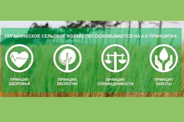 Принципы и цели органического садоводства