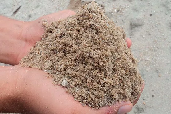Промойте речной песок1 почва для земляники27