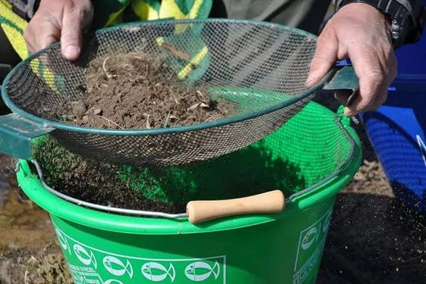 Просейте торф через мелкоячеистое сито почва для земляники28