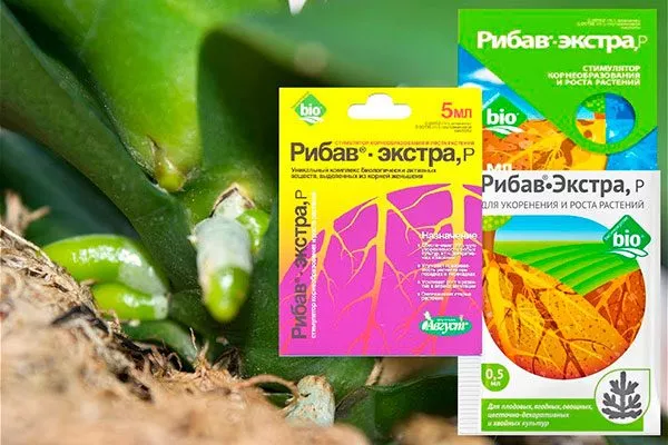 Рибав Экстра