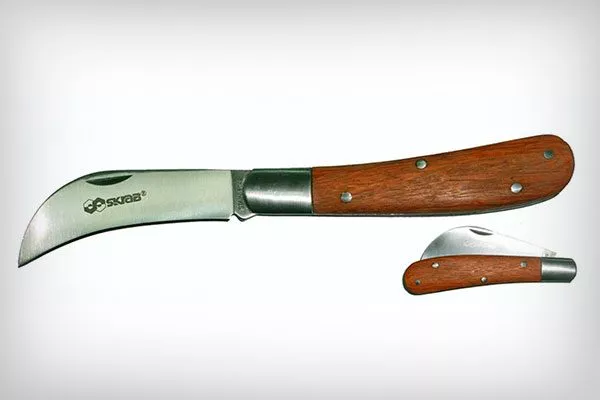 садовые ножи Как правильно обрезать кактусы24