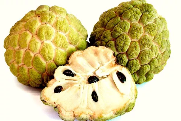 Сахарное яблоко2 сорта яблок с необычной формой30