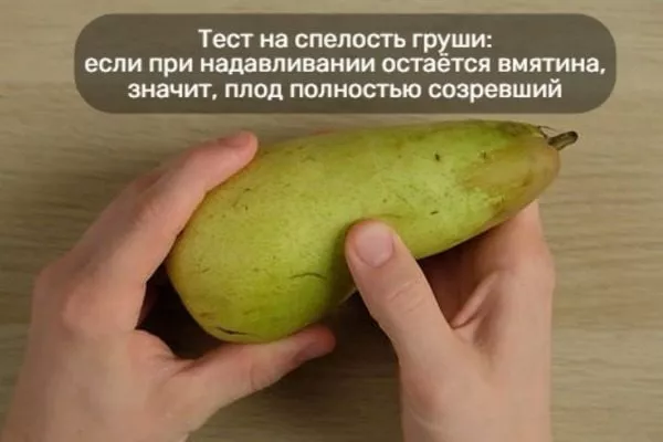 тест на спелость груши