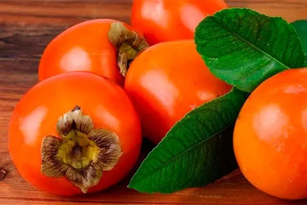 Шоколадница Ошибки выращивания19