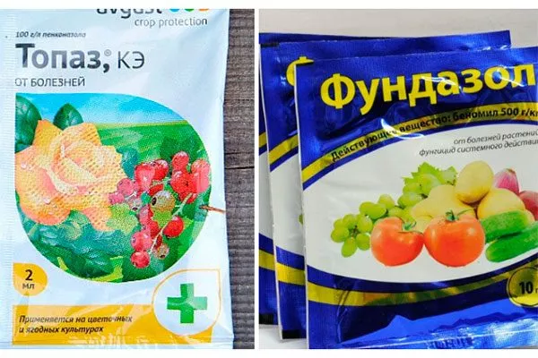 Скор, Фундазол