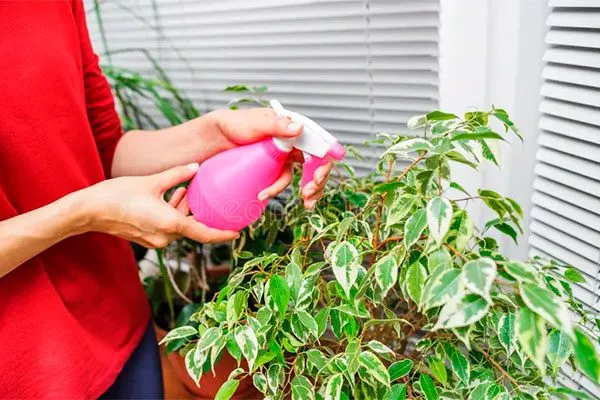 Смесь молока и воды Очистка пыли13