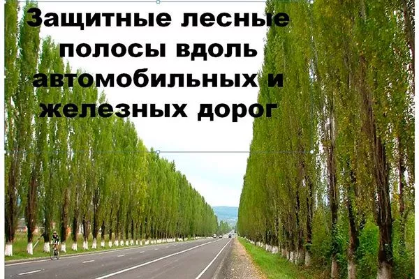 Специальные насаждения органическое садоводство27