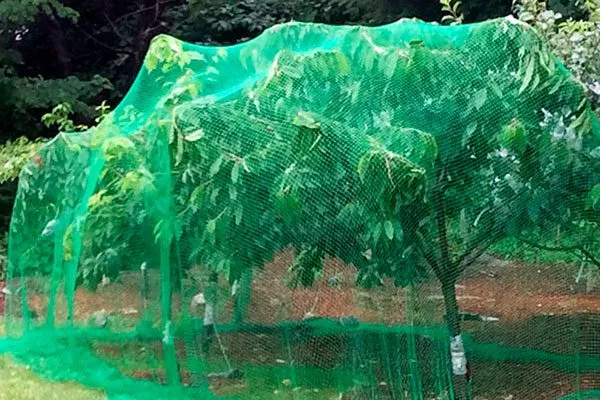 Специальные сетки