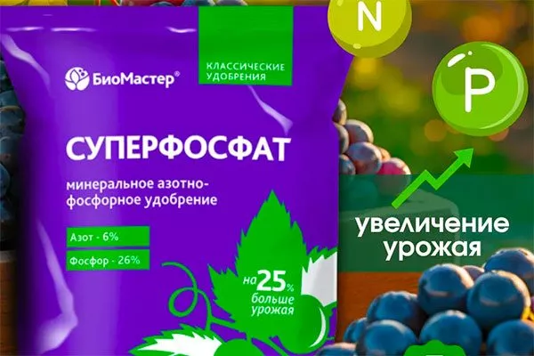 Суперфосфат почва для земляники32