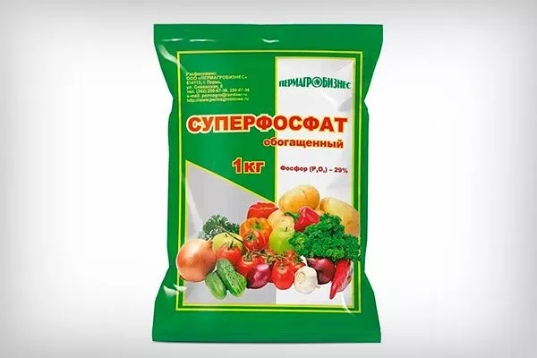 Суперфосфата укрыть пионы перед зимовкой35