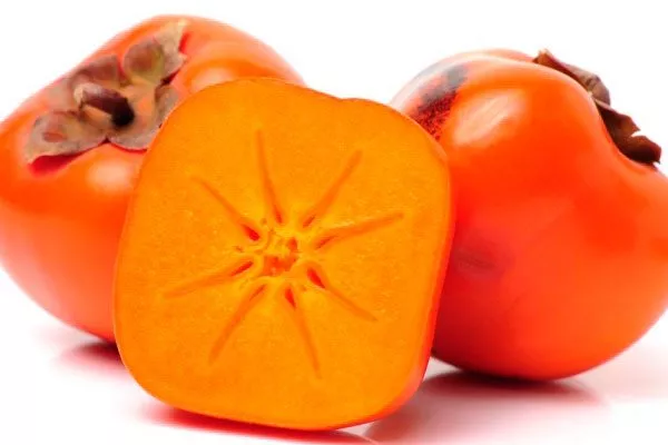 Suruga (Суруга) комнатная хурма9