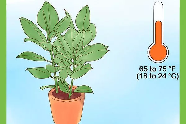 Температура и влажность воздуха покраснение стеблей14