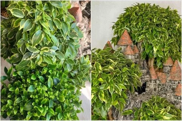 Лавли, декоративная композиция