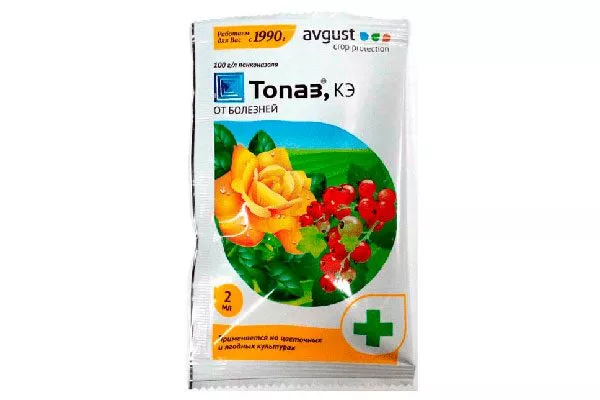 Топаз Заболевания кактусов23