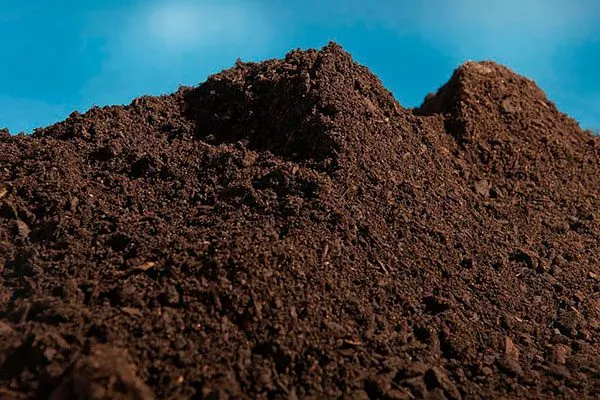 Торф почва для земляники34