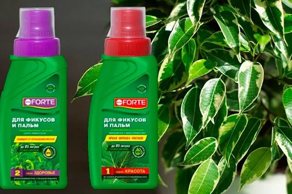 Удобрение и использование специальных добавок стимулировать цветение11