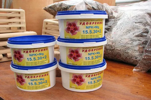 удобрения для гибискуса