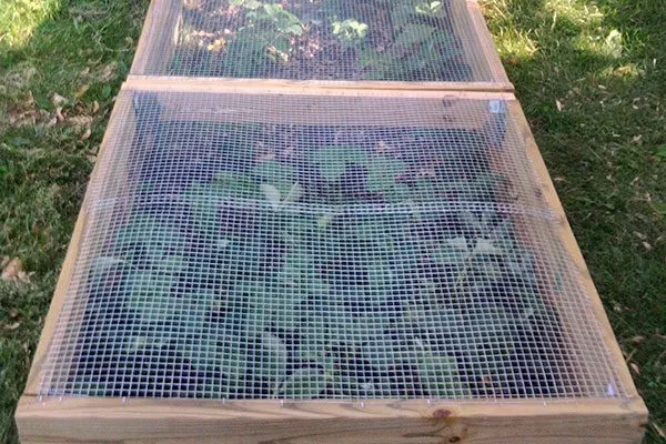 Укрытие грядок