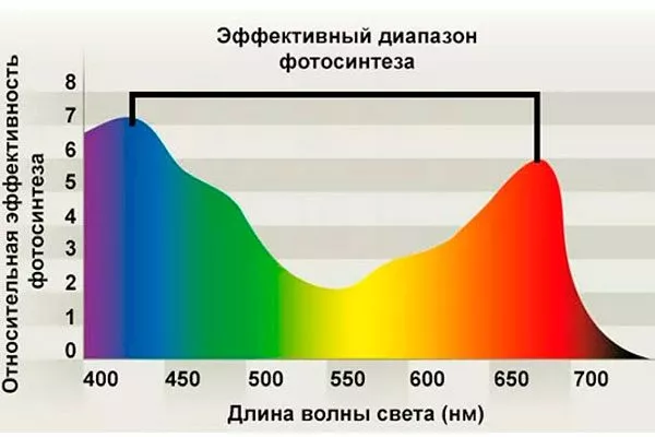 Влияние световых волн на растения освещение для гибискуса3