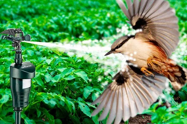 Водные преграды