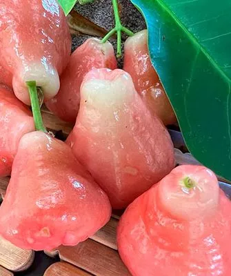 Водяное яблоко сорта яблок с необычной формой2