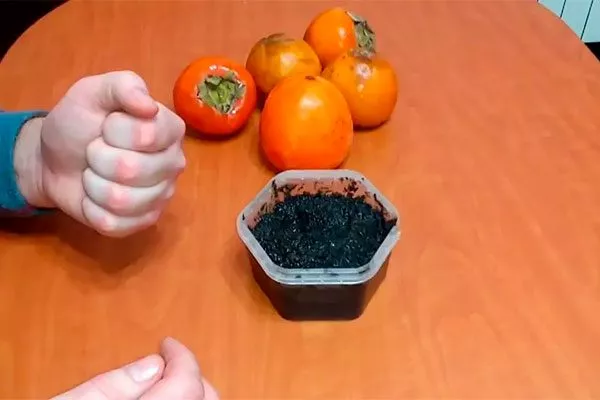 Выбор ёмкостей и почвы комнатная хурма12