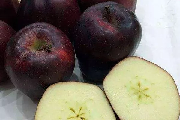 Яблоко Чёрный бриллиант (Чёрный алмаз)1 сорта яблок с необычной формой51