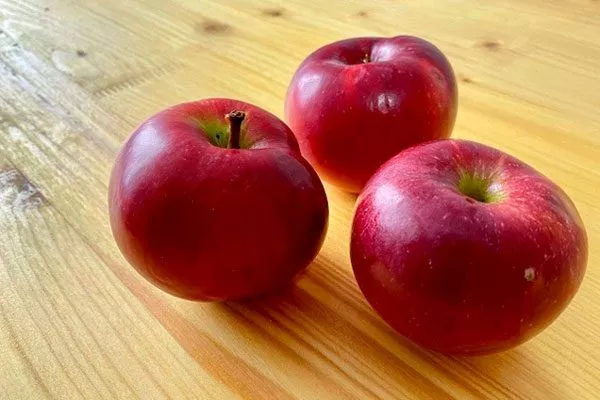 Яблоко День Победы сорта яблок с необычной формой39