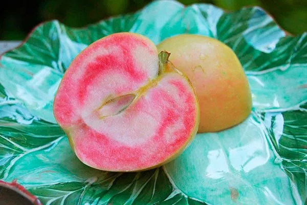 Яблоко Розовый жемчуг сорта яблок с необычной формой45