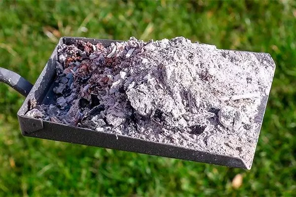 зола2 для яблони