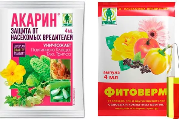 Актеллик, Акарин, Фитоверм и Неорон Вредители кактусов4