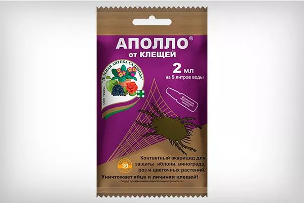 Аполло Вредители кактусов6