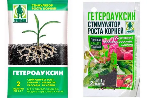 Ауксины (Корневин, Гетероауксин) увеличениt размеров яблок7