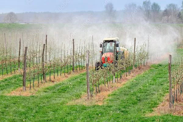 Борьба с вредителями и болезнями промышленный сад2