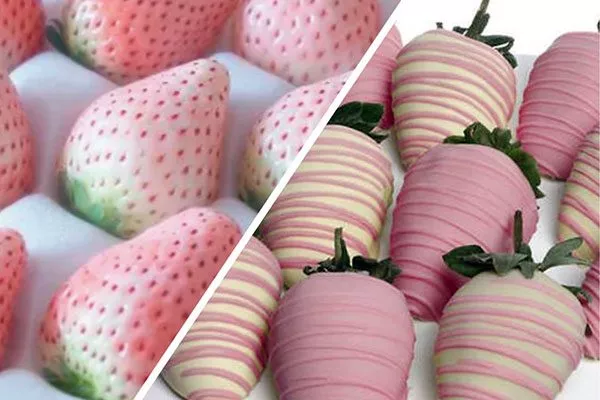 десерт Белая земляника8