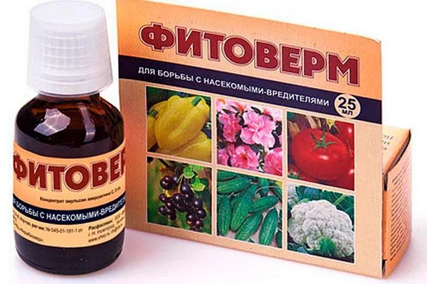 Фитоверм Вредители кактусов35