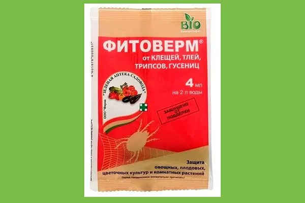 Фитовермом увеличениt размеров яблок34