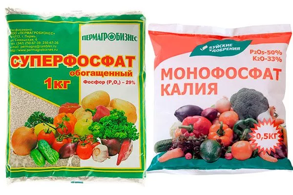 фосфорно-калийные (Суперфосфат, монофосфат калия)2 увеличениt размеров яблок35
