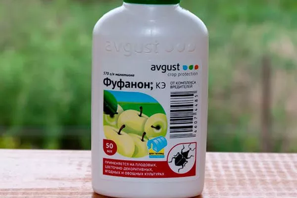 Фуфанон Вредители кактусов37