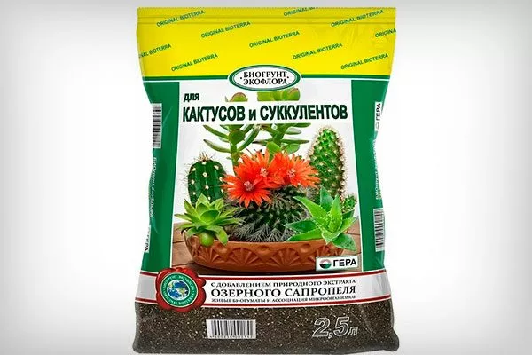 готовую почвосмесь, предназначенную специально для кактусов пересадка кактуса3