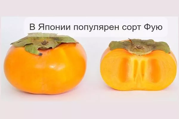 хурма в Японии, Фую