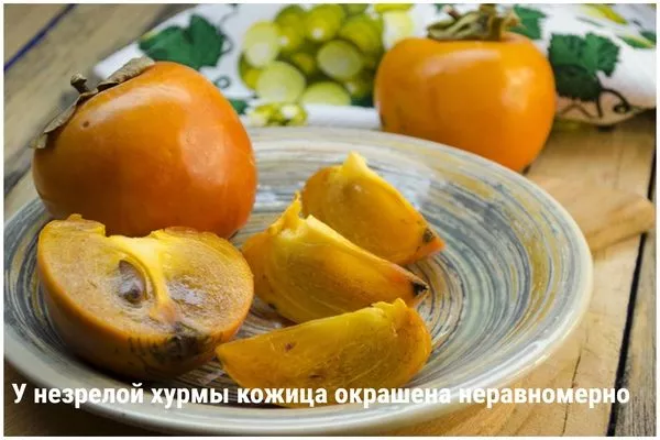 признак незрелой хурмы