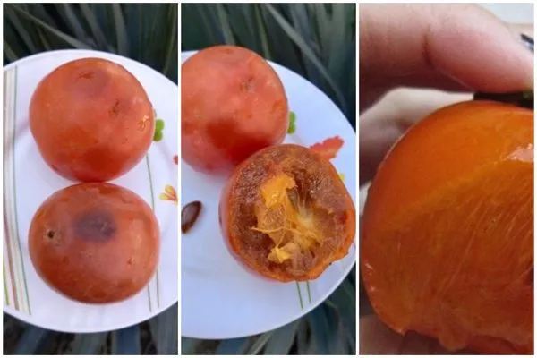 перезревшие плоды