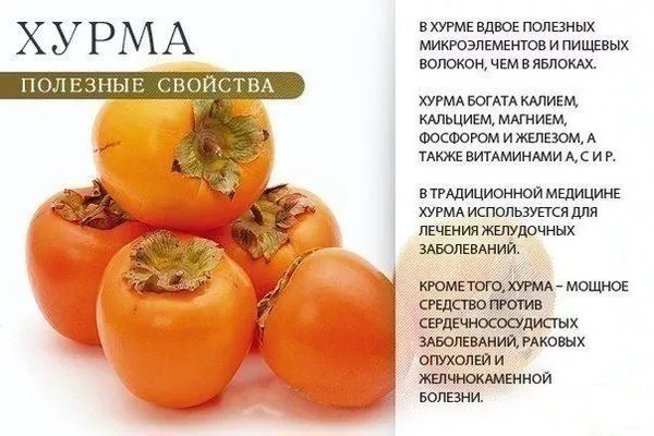 польза хурмы для организма