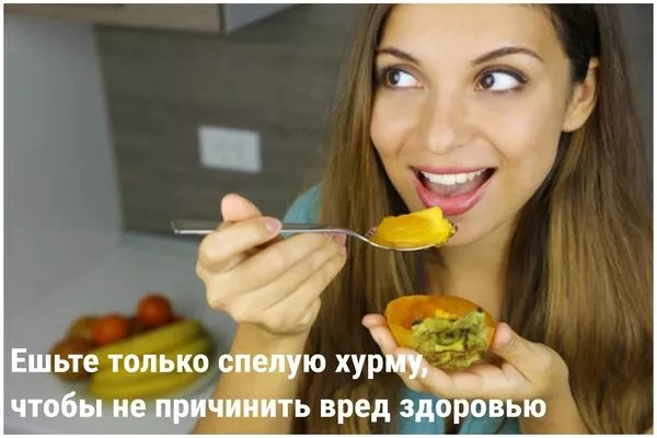 полезна только спелая хурма